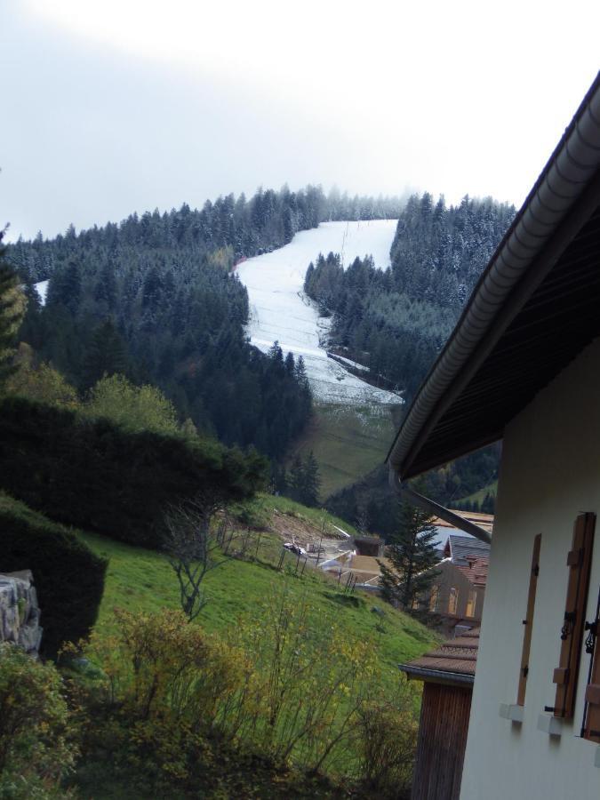 Au Grenier Du Lac Gerardmer Exterior photo